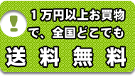 1万円以上お買物で全国どこでも送料無料